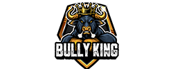 Bully King